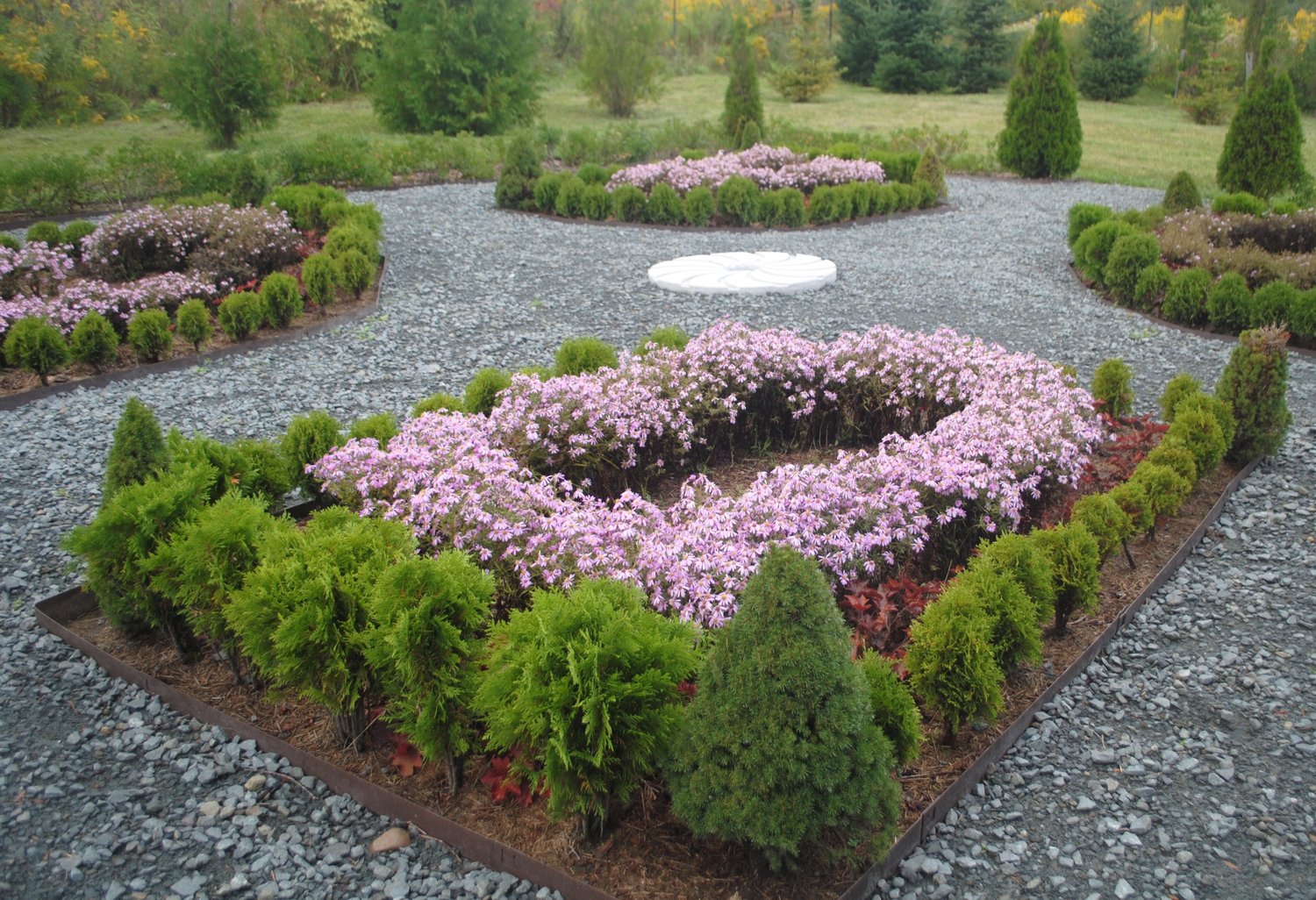 A parterre at Flying Trillium uses spruce, arborvitae, asters, heuchera and other native plants.